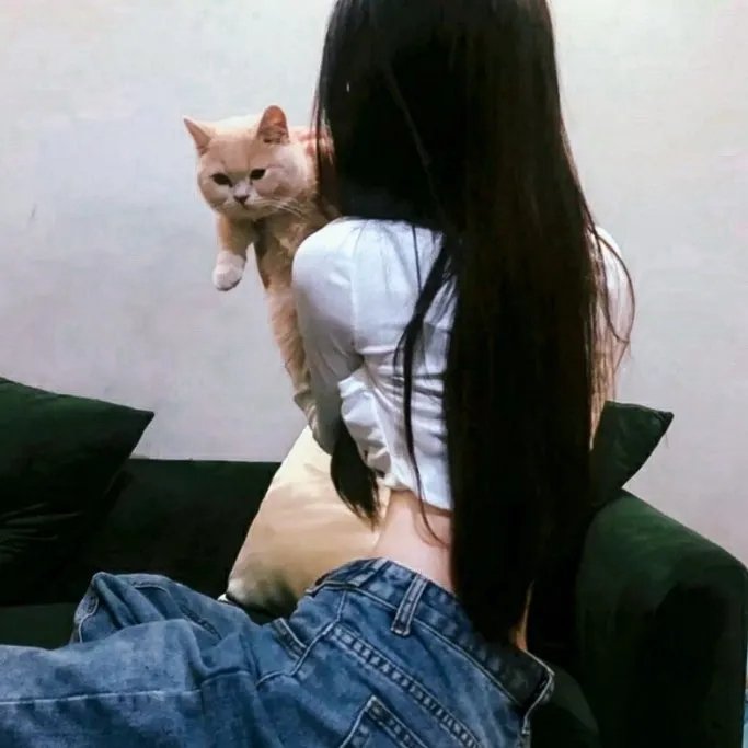 舞院秘闻